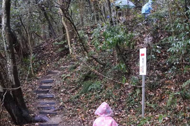 権現山古墳群_山道