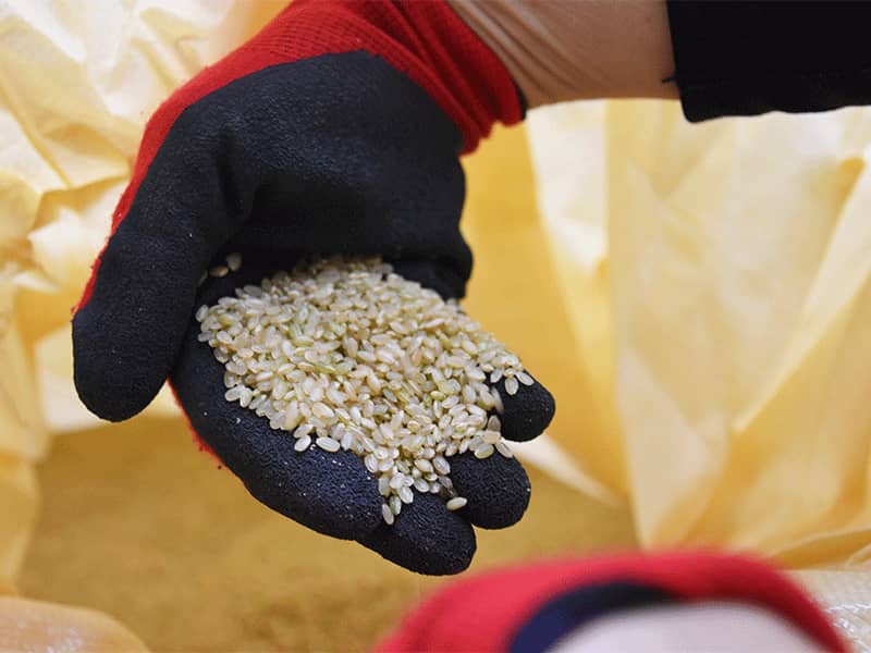 お米の卸売_こだわり