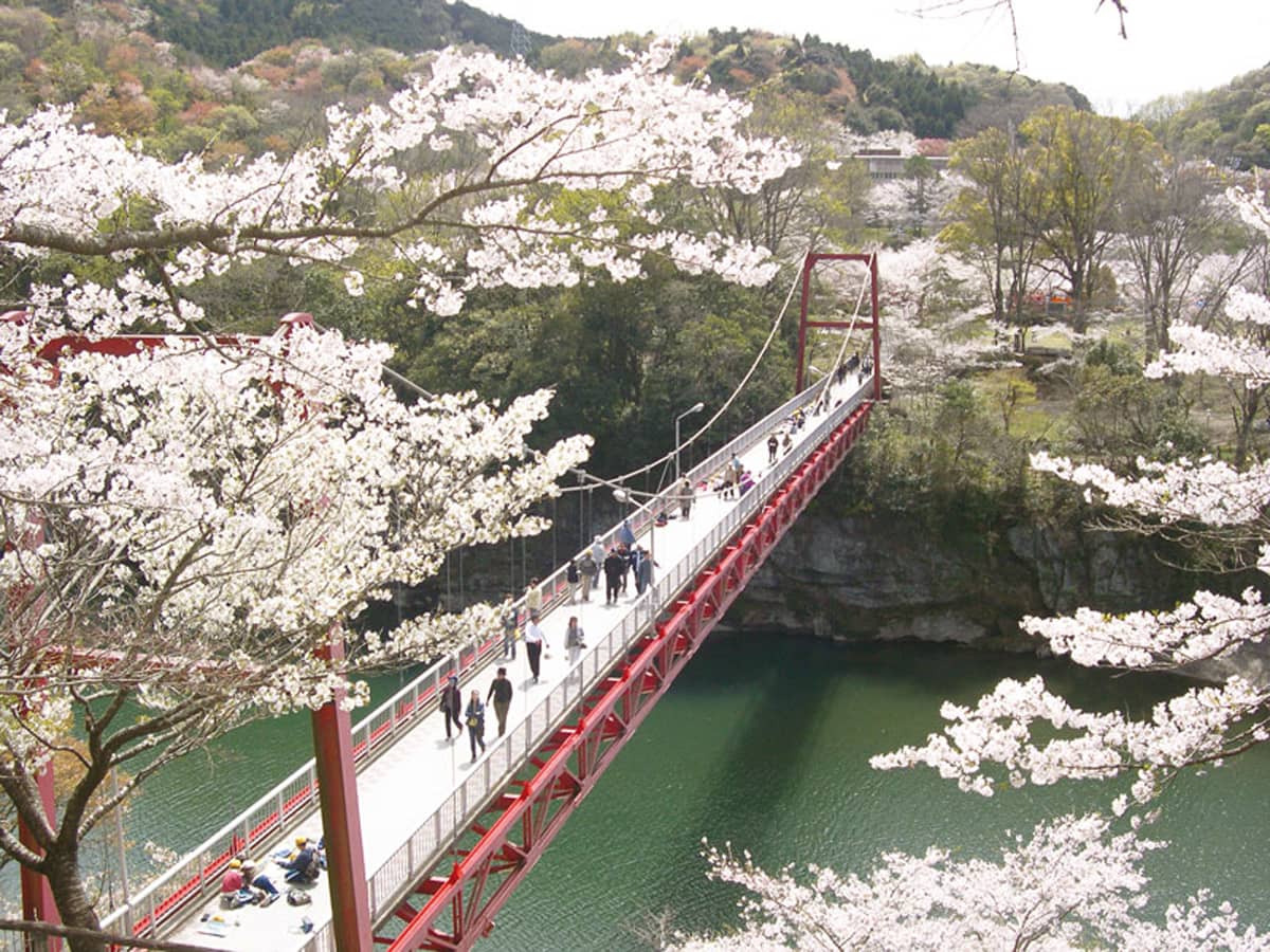 新城さくらまつり