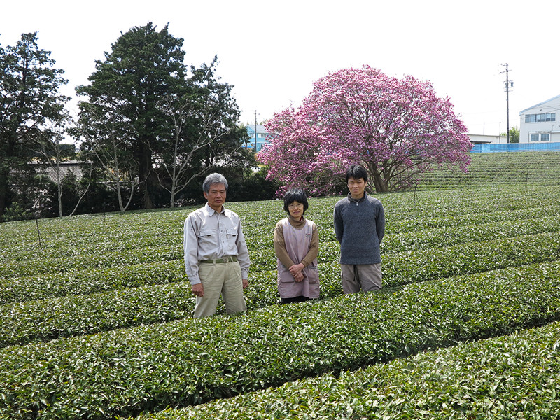 ごとう製茶_茶畑2