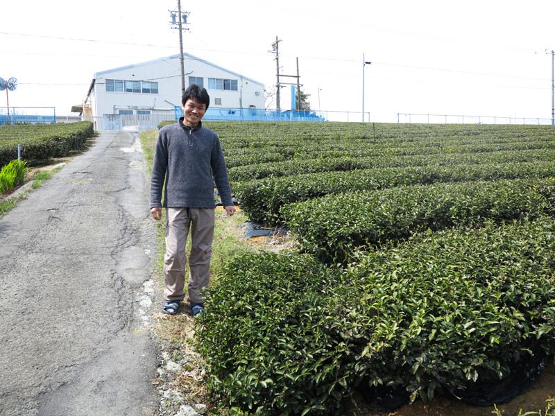 ごとう製茶_茶畑4