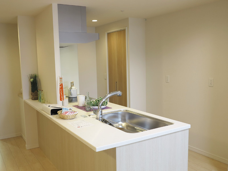 art-main-kobayashisekiyu07