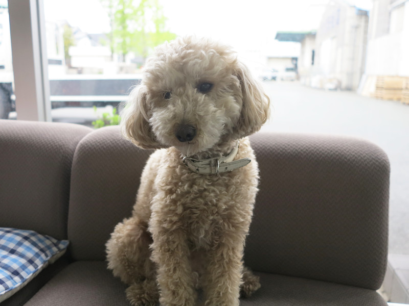 art-main-kubotakamiten10