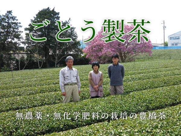 ごとう製茶_生産者インタビュー