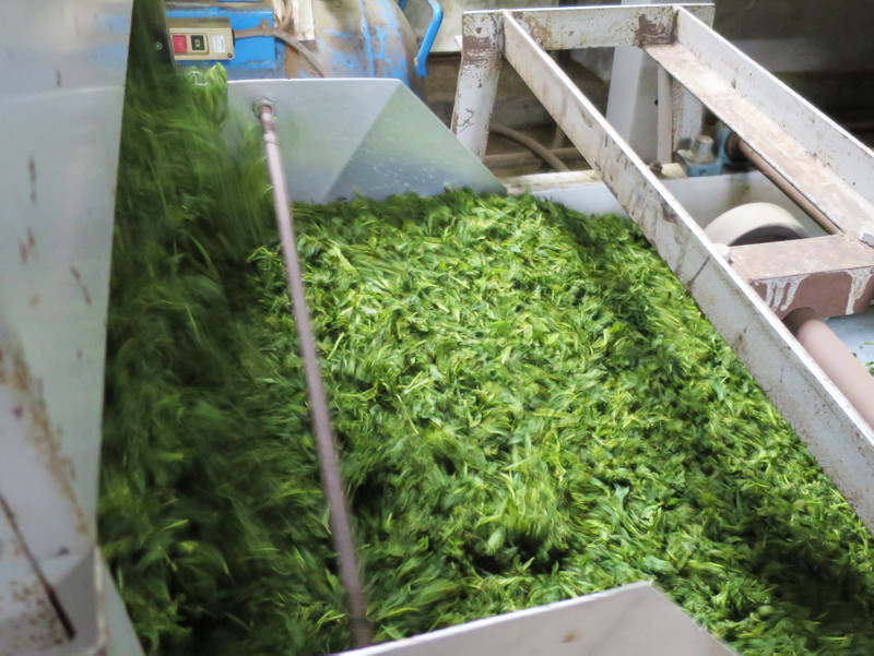 ごとう製茶_中揉機2