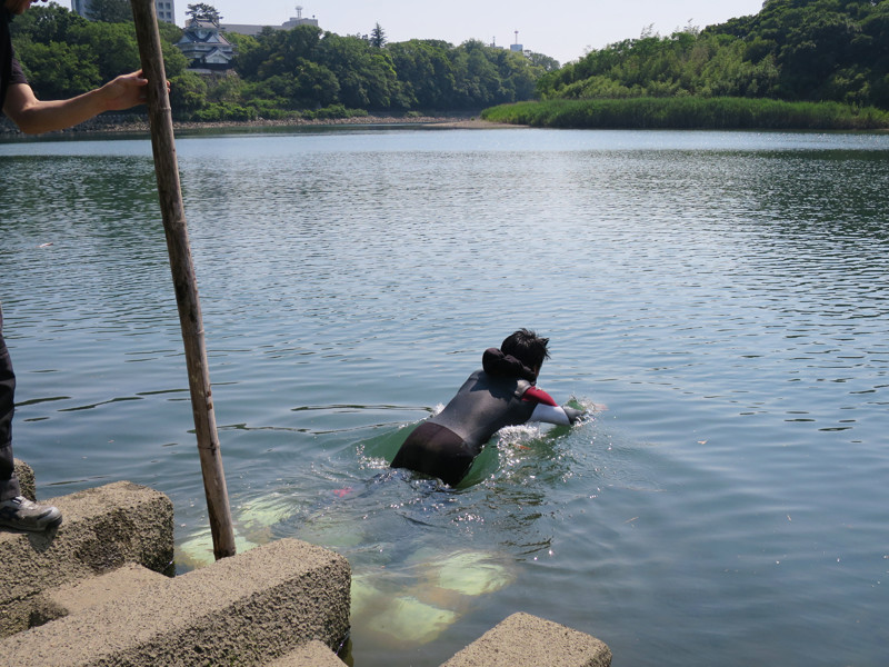 art-main-mizugumo25-1