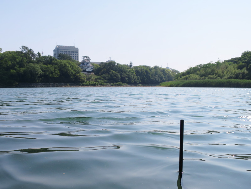 art-main-mizugumo29-1