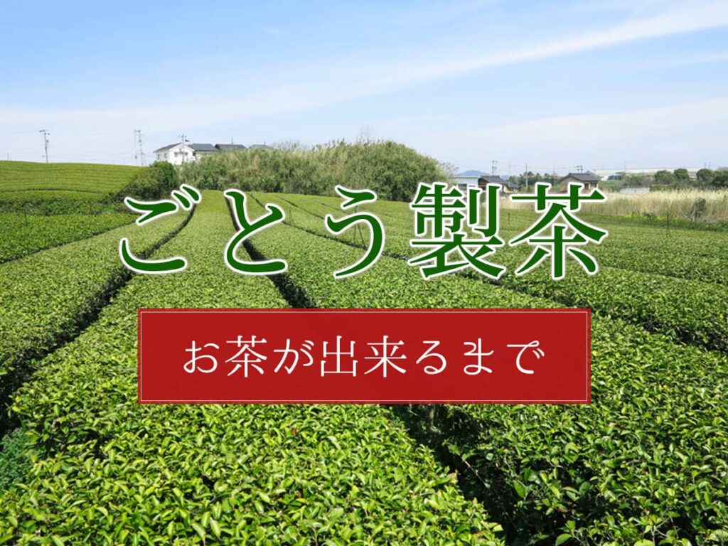 ごとう製茶_お茶ができるまで