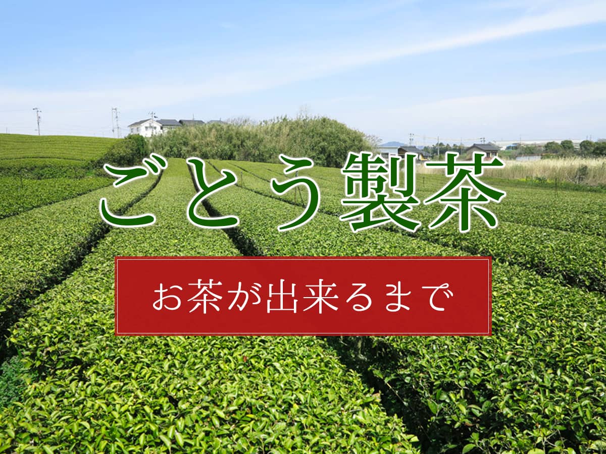 ごとう製茶_お茶ができるまで