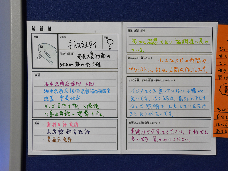 竹島水族館_おもしろ展示物