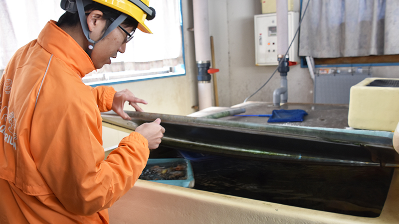 竹島水族館水槽のリニューアル