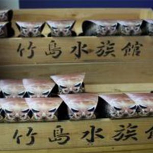 竹島水族館_超グソクムシ煎餅3