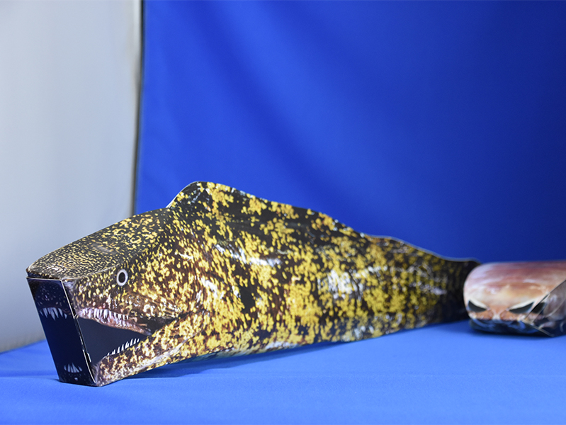 竹島水族館_超ウツボサブレ