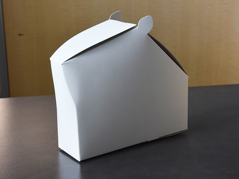 竹島水族館_カピバラ商品開発2