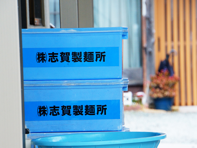 志賀製麺所_ソフト麺