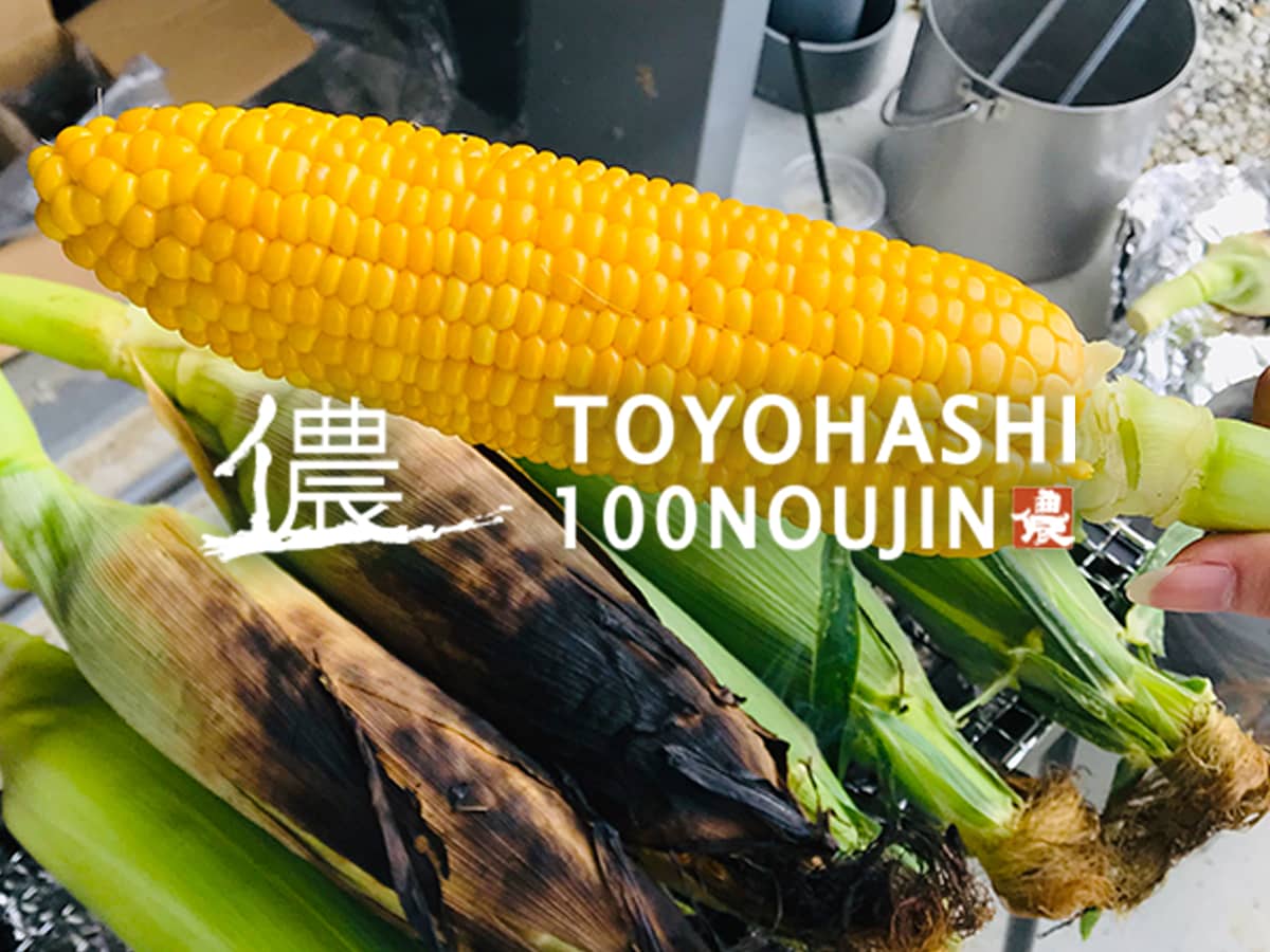 田原ホクシン_トウモロコシ