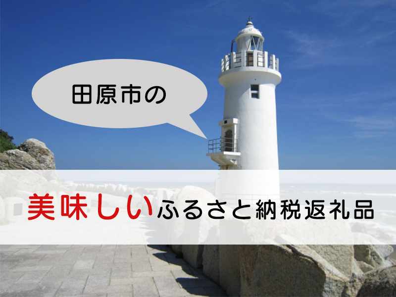 田原市のふるさと納税
