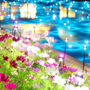 ラグーナ・クリスマス4