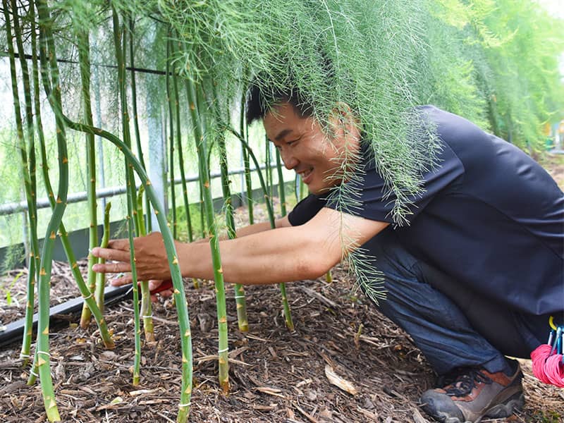 北河さんの語るやりがい