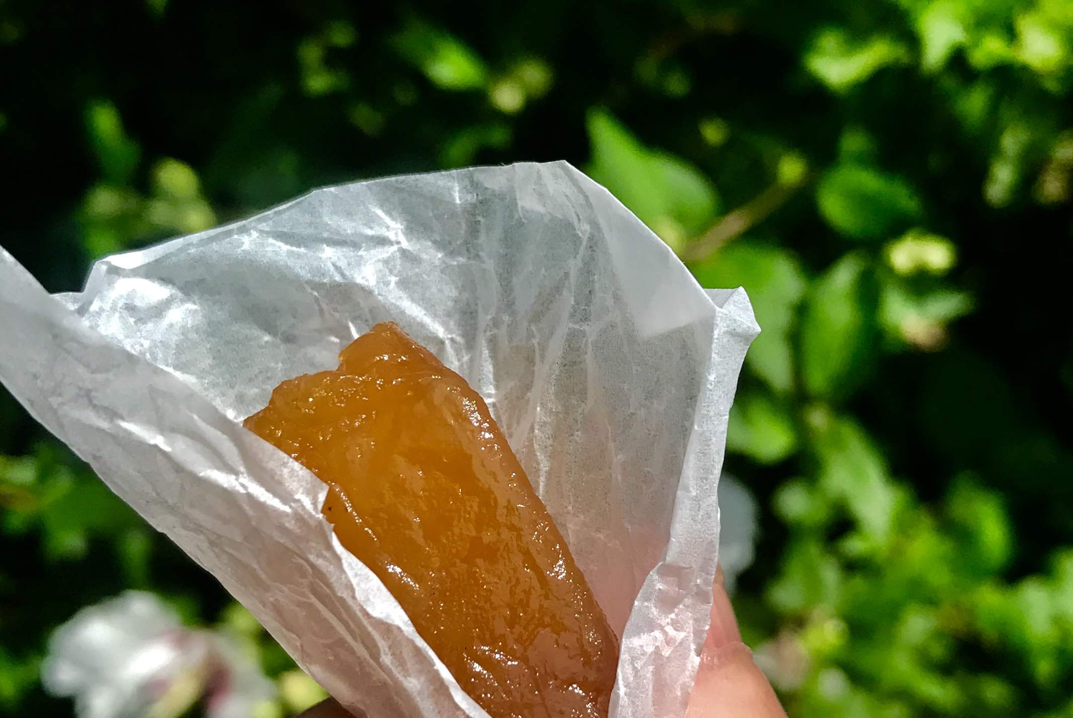 豊橋百儂人_干し芋