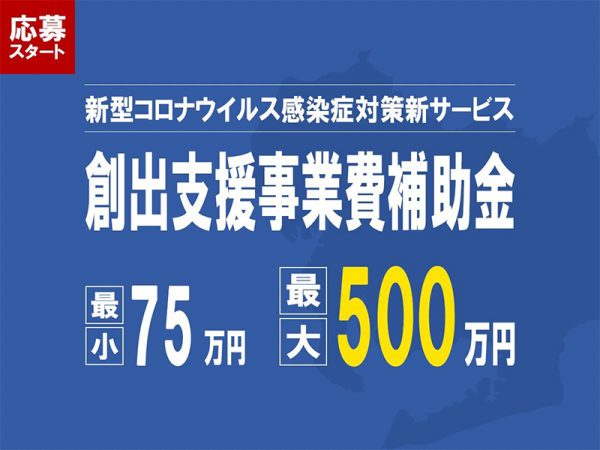 創出支援事業費補助金