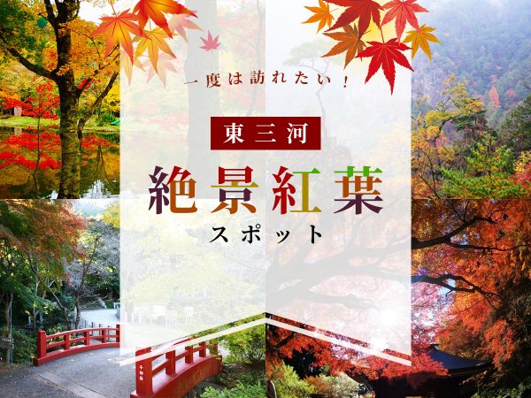 東三河の絶景紅葉スポット