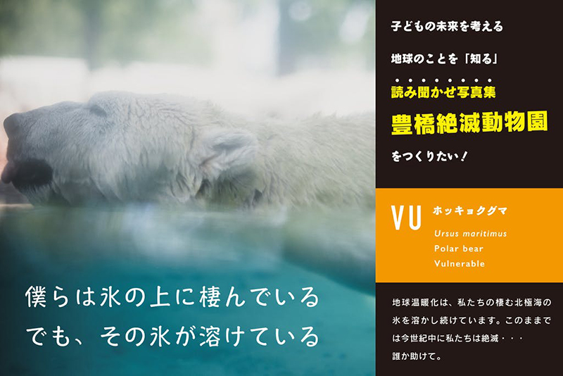 絶滅危惧種の白くま