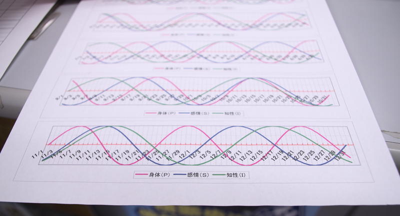 東海交通_PSIバイオリズム