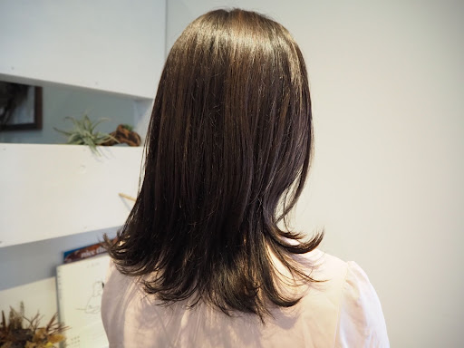 väder（ヴェーデル）カット