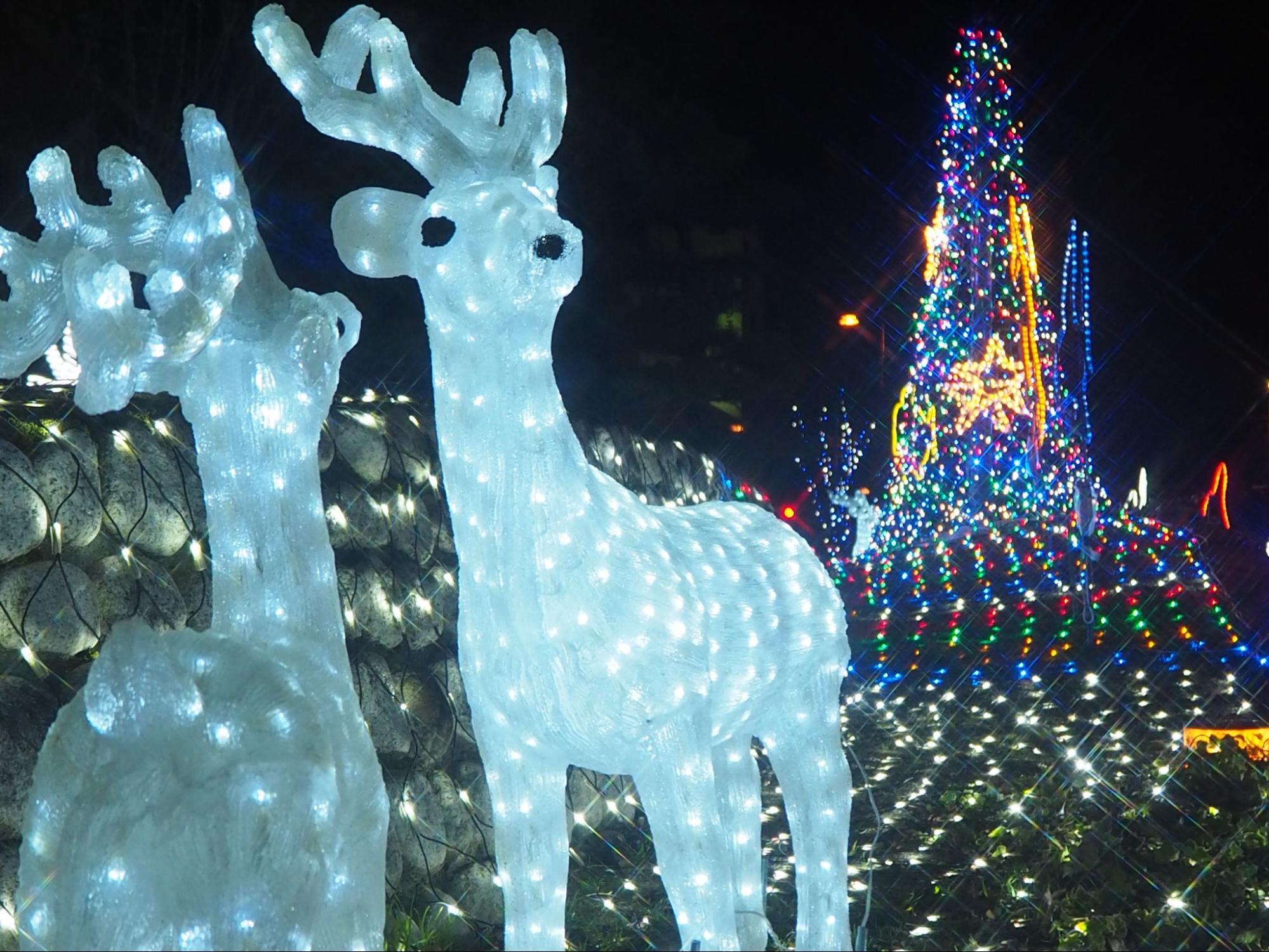 イルミネーション蒲郡駅5