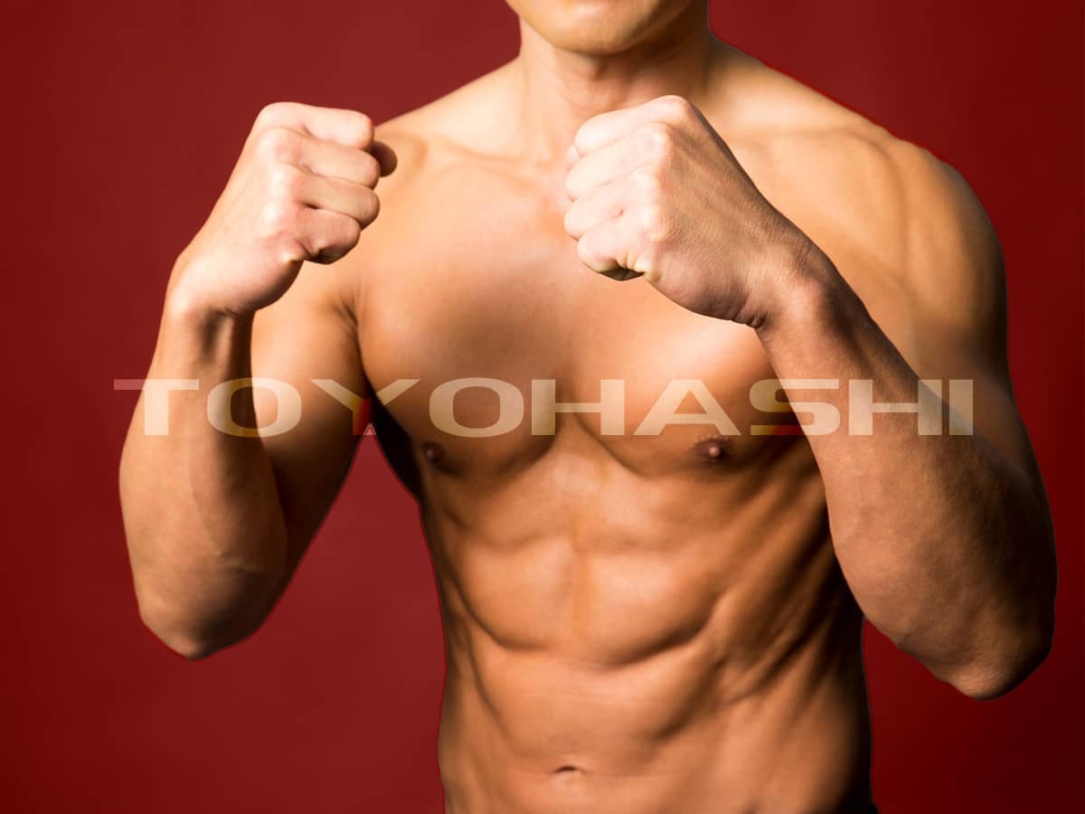 豊橋出身格闘家特集