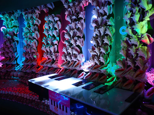 竹島ファンタジー館_時空のトンネル6