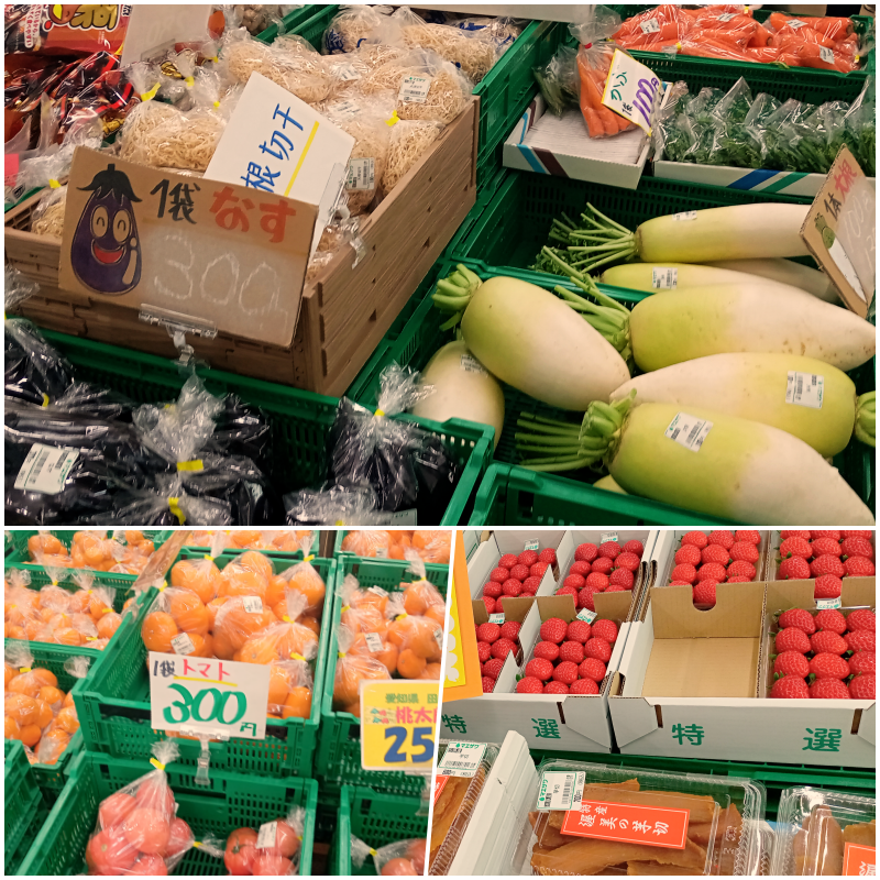 田原めっくんはうす_農業王国