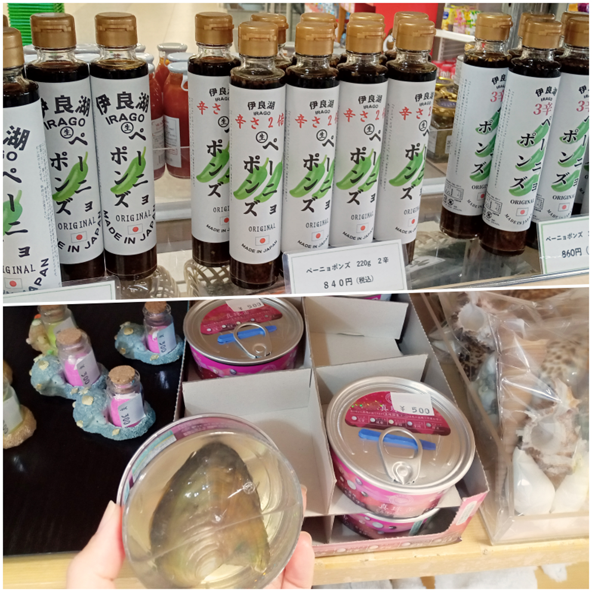 伊良湖クリスタルポルト_お土産