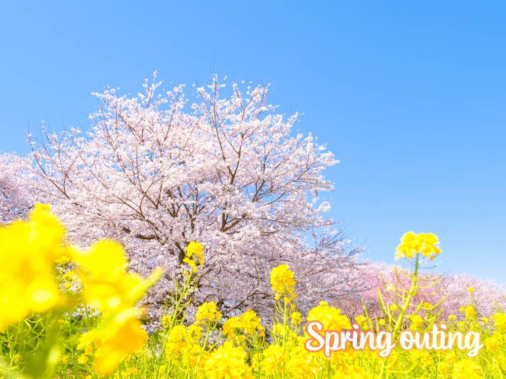 桜・菜の花まつり