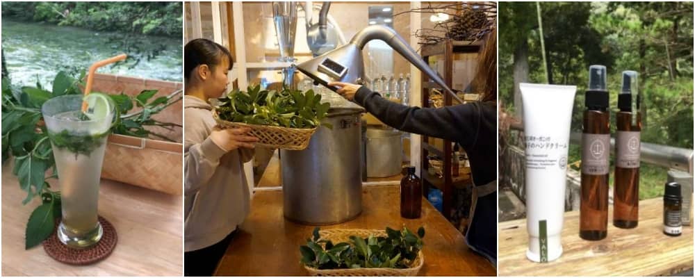 emCAMPUS_東三河フードバレー構想