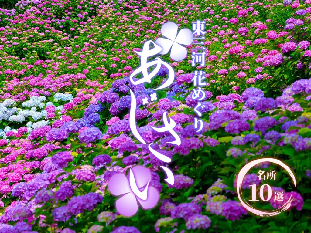 東三河_あじさいスポット