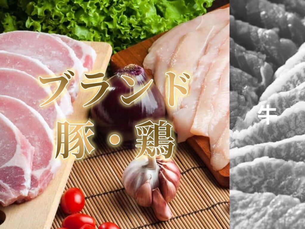 ブランド豚・鶏_東三河