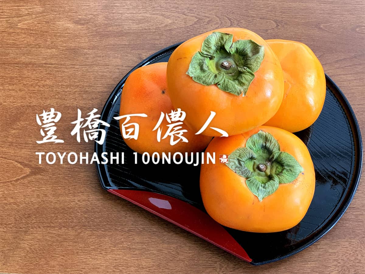 豊橋百儂人_柿儂人