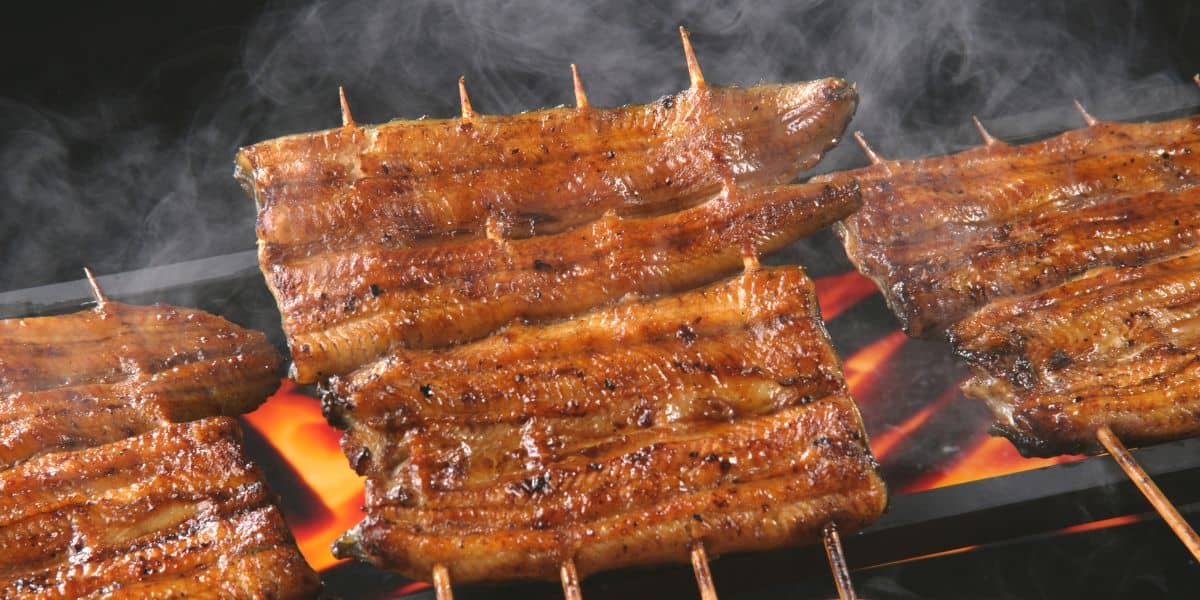 愛知秋のグルメ_うなぎ