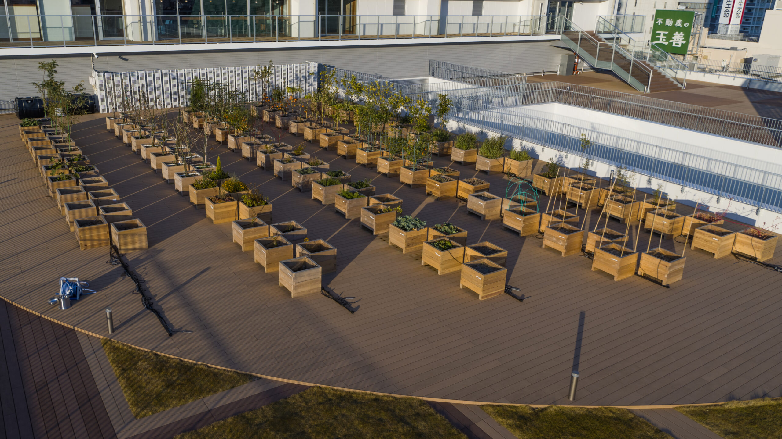 エムキャンパス_屋上農園