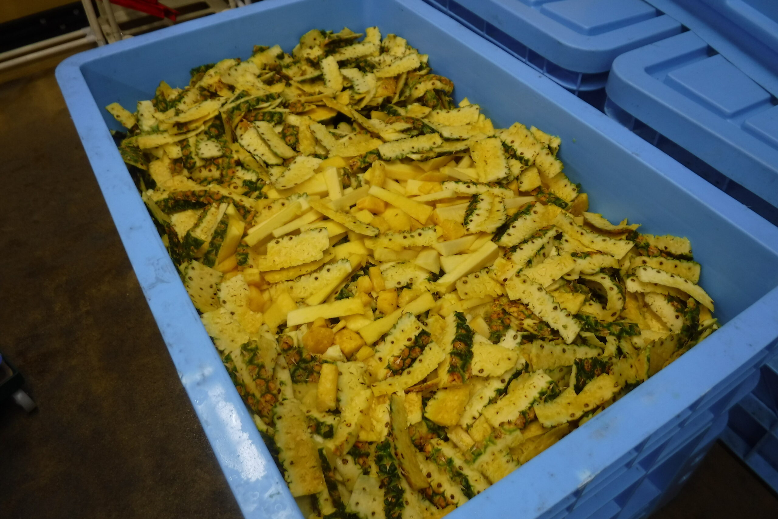 環境テクシス_パイナップル肥料