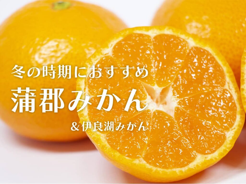 蒲郡みかんおすすめ