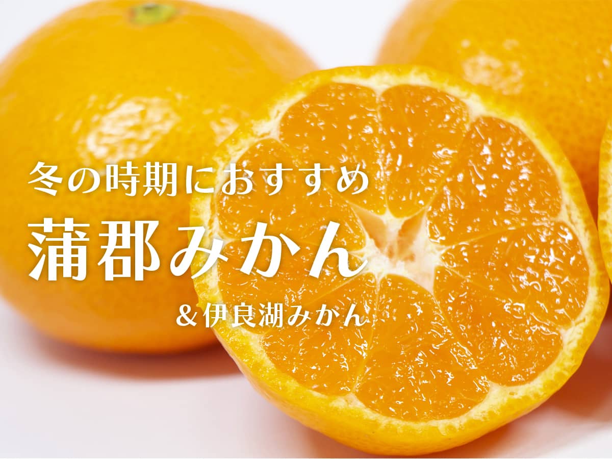 蒲郡みかんおすすめ