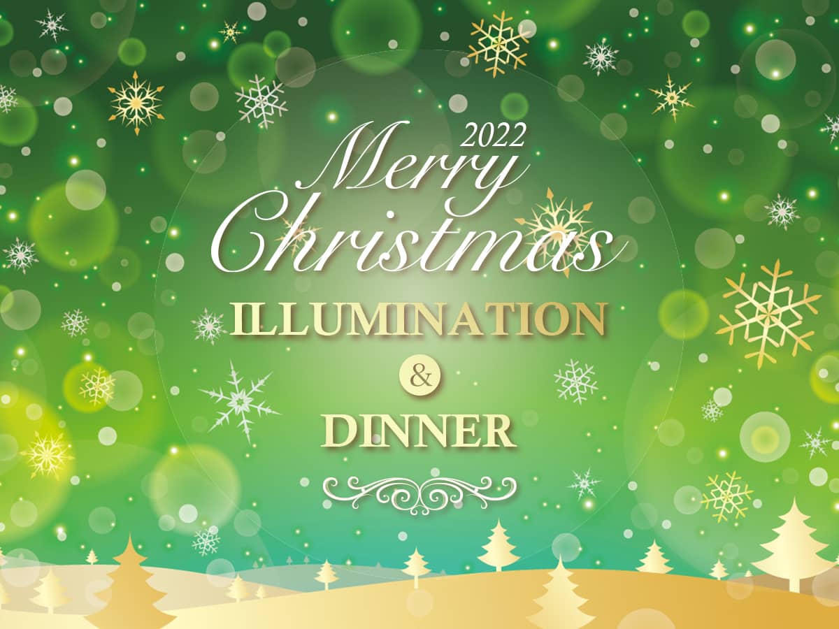 愛知クリスマスイルミネーションディナースポット