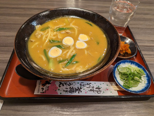 豊橋対談記事_豊橋カレーうどん