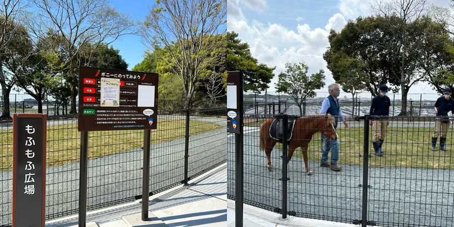 赤塚山公園_もふもふ広場