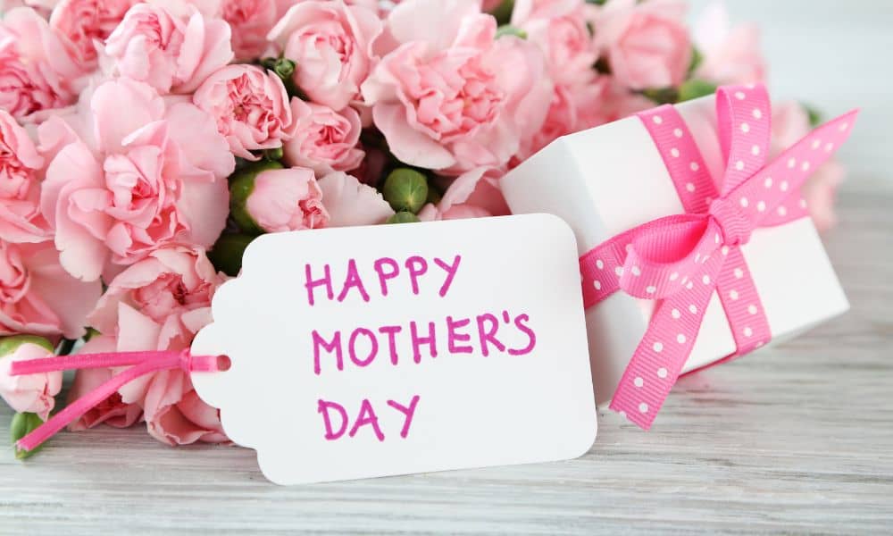 母の日2023_カーネーション