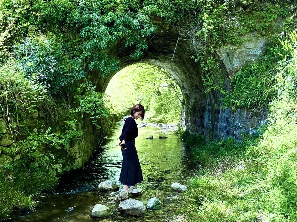 新城_新緑ドライブスポット