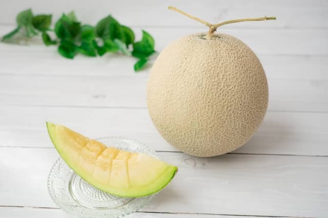 2023お中元_マスクメロン